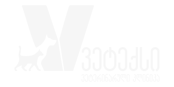 Vetex Logo